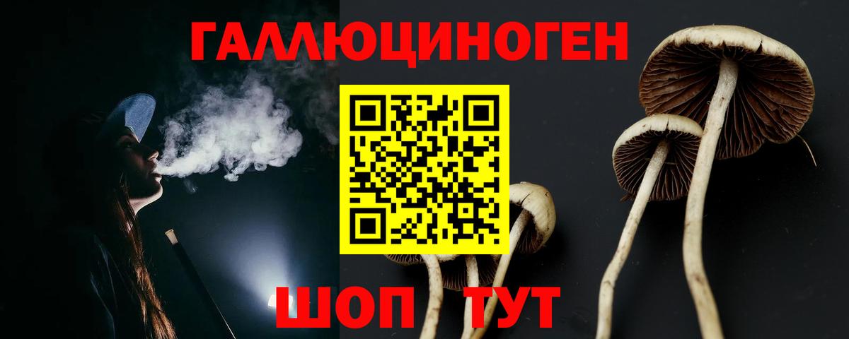 Псилоцибиновые грибы прущие грибы Карачаевск
